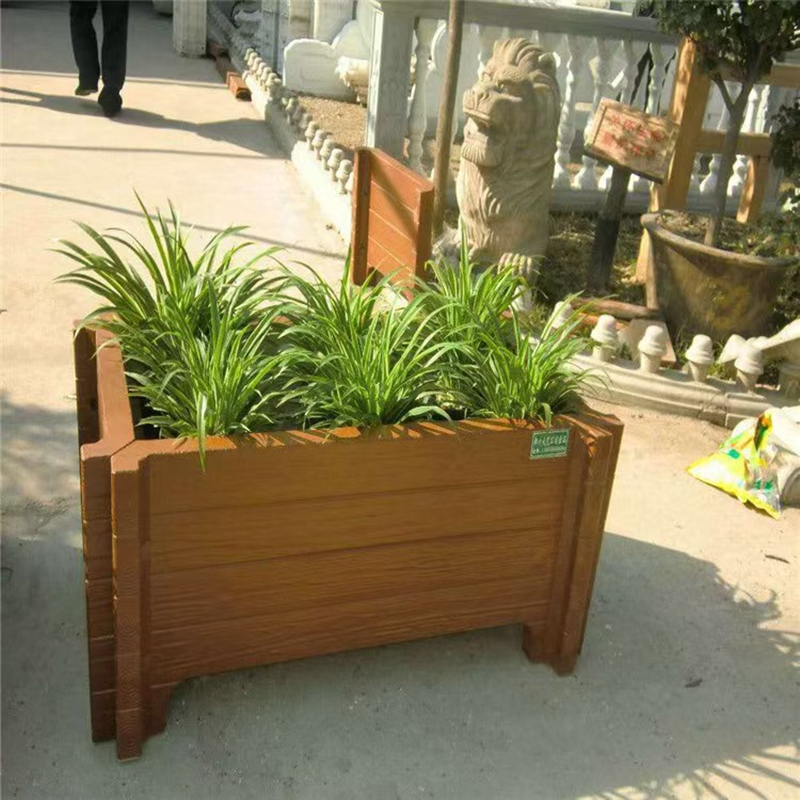 水培花卉养护知识