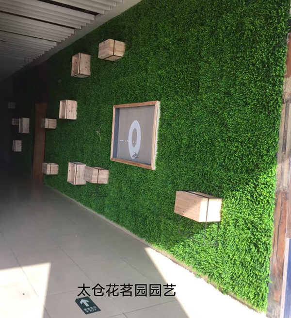 室内外植物销售