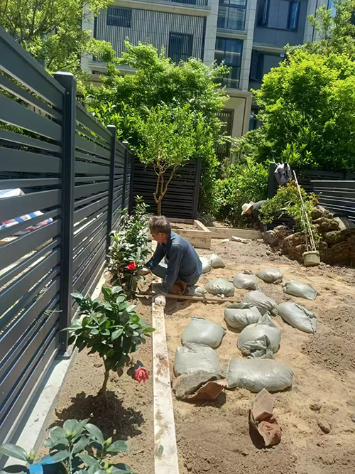 承接绿化，供苗