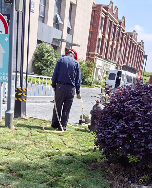 绿化养护