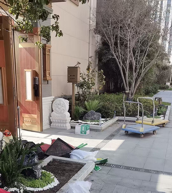 室内外植物销售