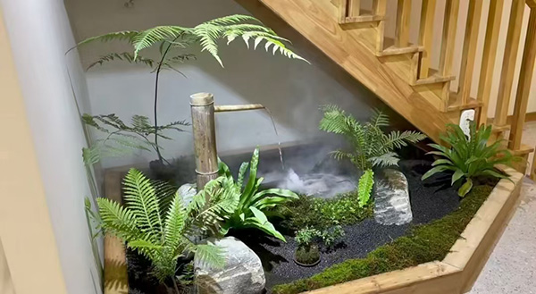 室内外植物销售