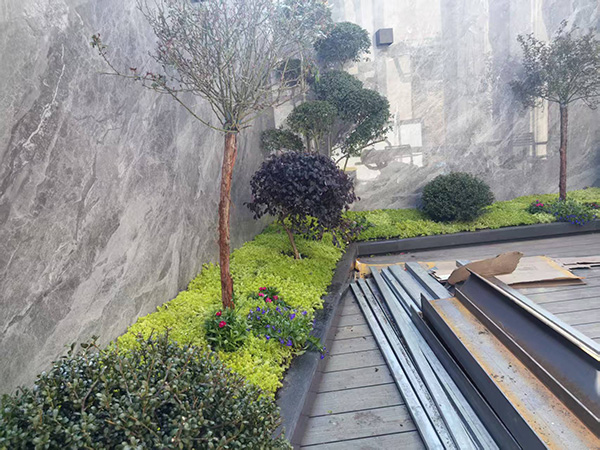 室内外植物销售