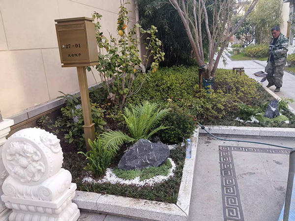 承接绿化，供苗