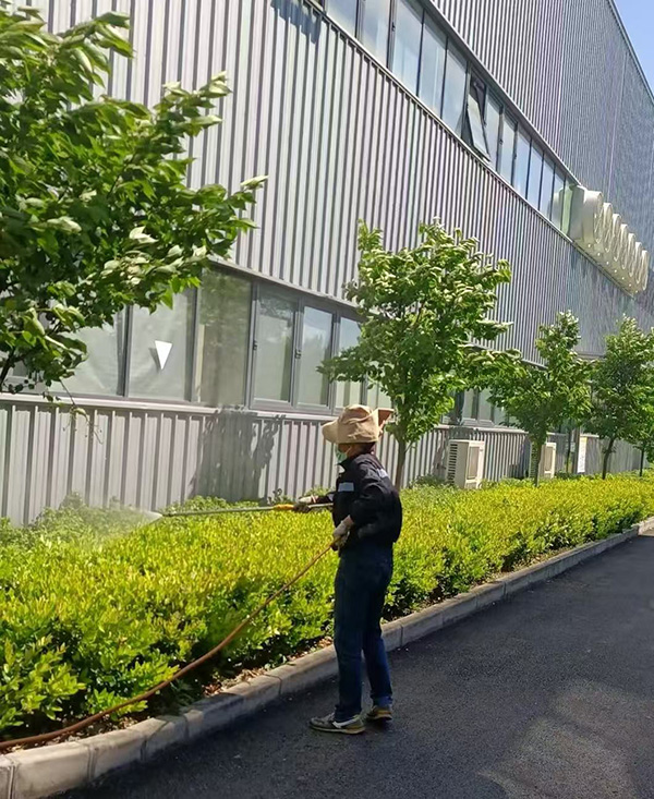 绿化养护