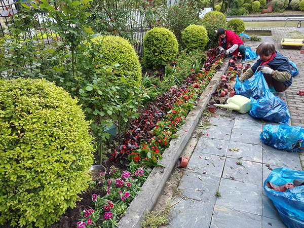 承接绿化，供苗