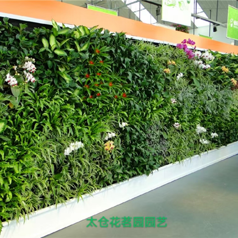 园林景观设计与施工